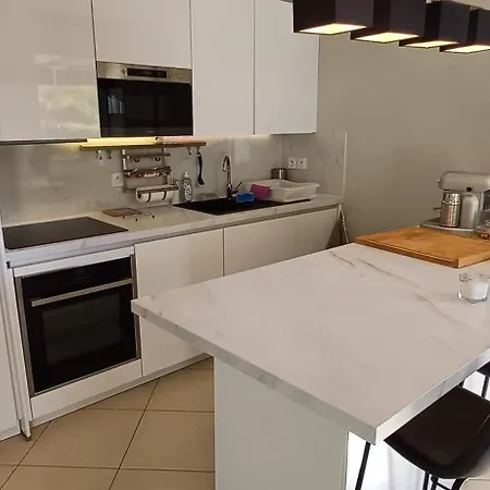3 Pieces Climatisees Dans Avec Piscine Apartman Antibes